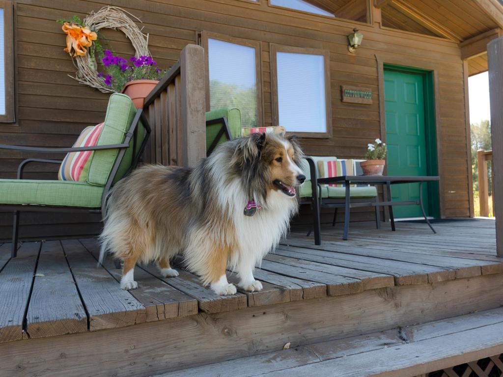 Hansen Guest Ranch Swan Valley Quarto foto
